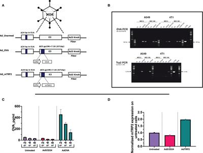 Peptides-Coated Oncolytic Vaccines for Cancer Personalized Medicine